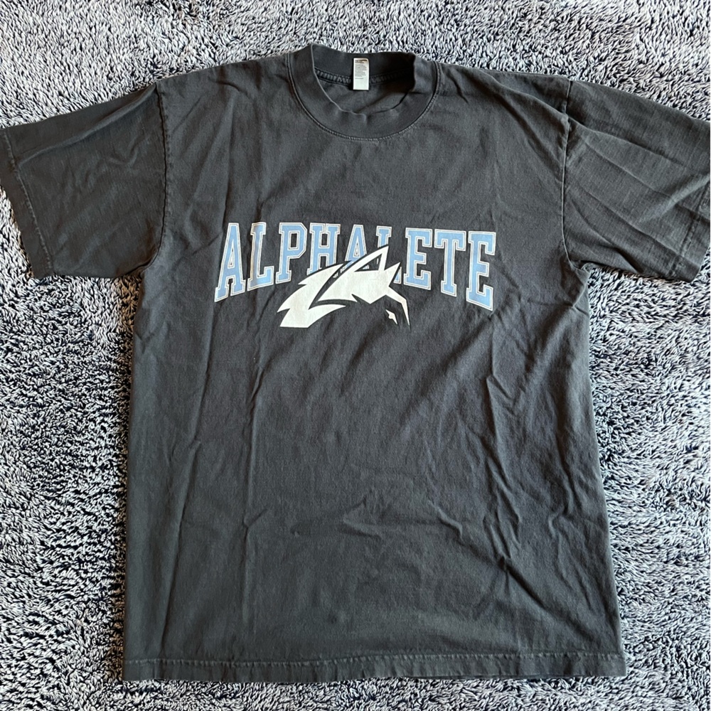 Alphalete dolphin blue tshirt, size M